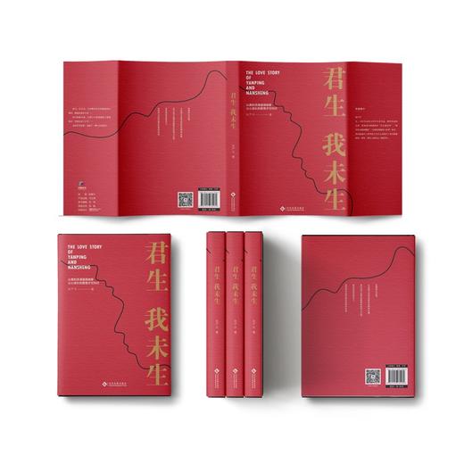 君生我未生 商品图1