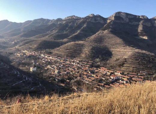 虚拟商品 商品图0