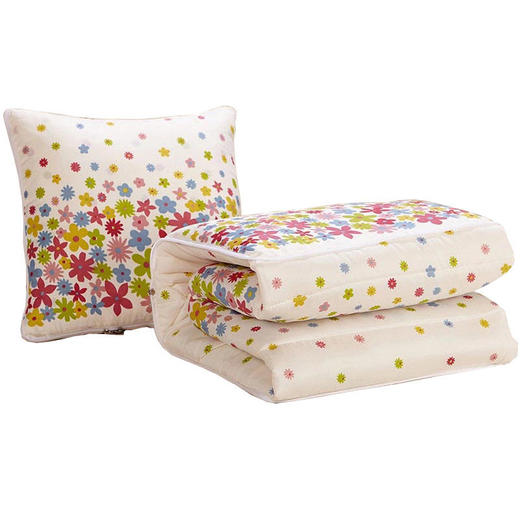 传枫 多功能抱枕家车两用午休被空调被抱枕靠枕 CF-5028 商品图1