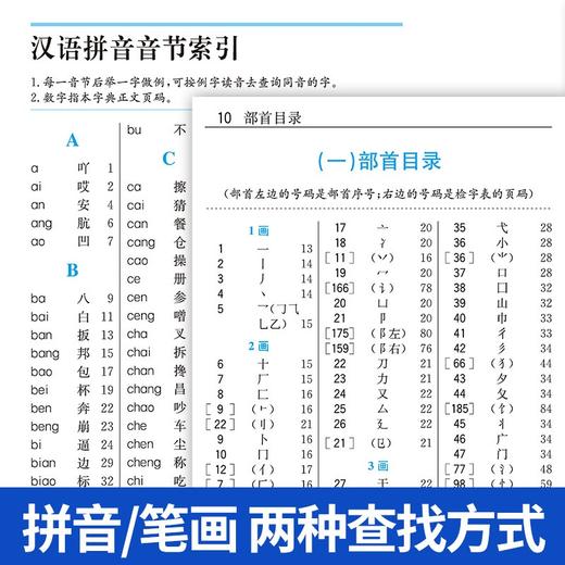 袖珍新编字典(双色本) 商品图3