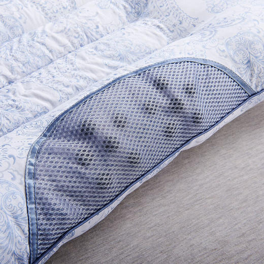 传枫（两只装）枕头磁疗枕头枕决明子保健枕安睡枕CF-3011 商品图1