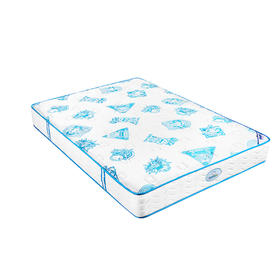 智慧人生D5521床垫 (21CM)