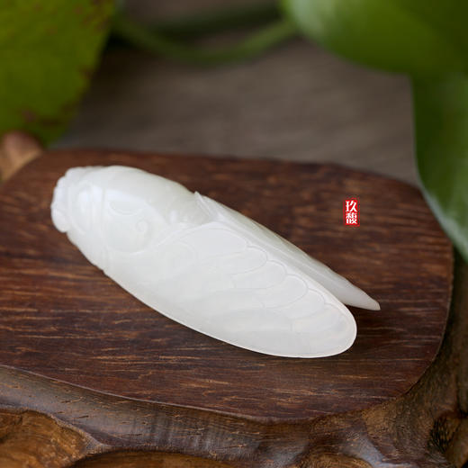 和田玉（羊脂玉）籽料挂件--蝉33.02g 商品图1
