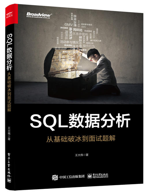 SQL数据分析：从基础破冰到面试题解 商品图0