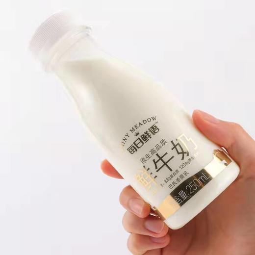 每日鲜语鲜牛奶250g 商品图3
