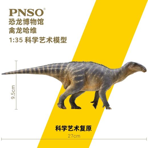 PNSO禽龙哈维恐龙博物馆1比35科学艺术模型 商品图1