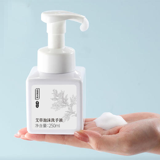 艾草泡沫洗手液|温和配方 PH弱酸性 去味留香 商品图0