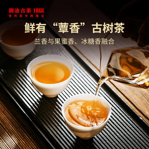 澜沧古茶时光仓老茶2014年压制昔归普洱生茶云南茶叶盒装337g 商品图2