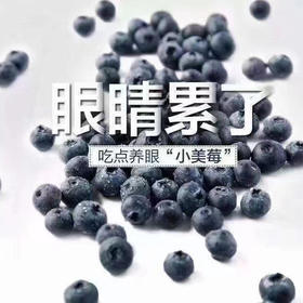 脆甜好吃的蓝莓