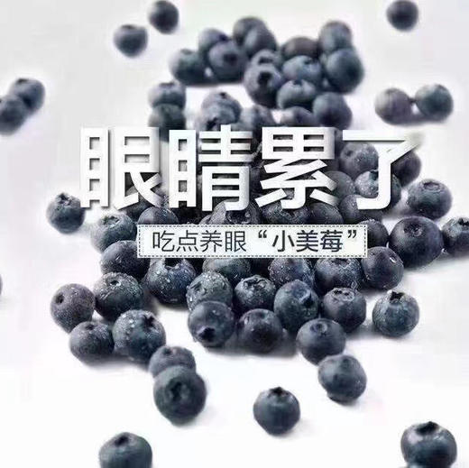脆甜好吃的蓝莓 商品图0