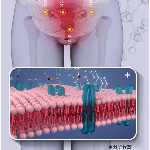 石墨烯发热护颈 商品图4