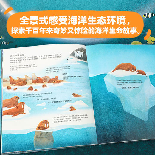 【6-12岁】蓝色星球 莱斯利斯图尔特夏普等著 专业海洋科普 带孩子一起见证人类震撼人心的海洋探访纪录 感受海洋之美 中信 商品图1