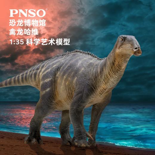 PNSO禽龙哈维恐龙博物馆1比35科学艺术模型 商品图0