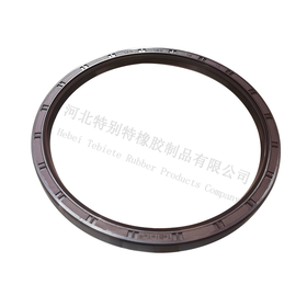 特别特斯太尔前轮油封140*160*13（单价=1个，2个/盒）140x160x13（14016013）
