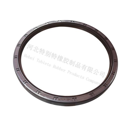 特别特斯太尔前轮油封140*160*13（单价=1个，2个/盒）140x160x13（14016013） 商品图0