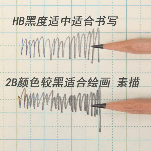 开学季福利！【原木无毒铅，纠正握姿】梵宁原木无毒铅30支50支学生专用2BHB铅笔 商品图4