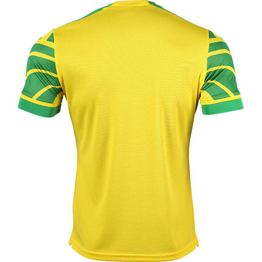 JOMA/霍马21-22赛季诺维奇主场球迷版短袖球衣成人男 商品图1