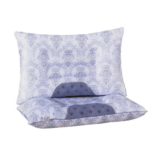 传枫（两只装）枕头磁疗枕头枕决明子保健枕安睡枕CF-3011 商品图4