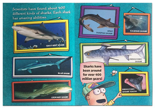苍蝇小子 鲨鱼 英文原版 Fly Guy Presents Sharks Scholastic Reader, Level 2 学乐分级小读本2级 商品图2