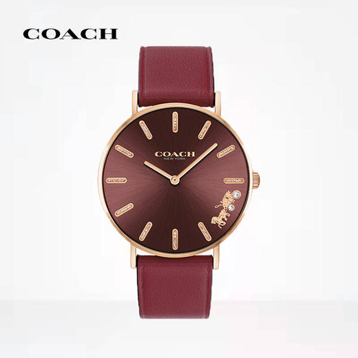 【虎年限定，下单送四叶草项链！】COACH虎年手表蔻驰手表|本命年定制，限量爆款，支持联保，三款可选，圣诞元旦新年 商品图5