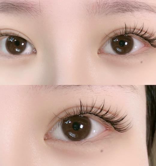 店主推荐丨小奶泥·Laseecon丨14.0mm（年抛/2片装） 商品图4