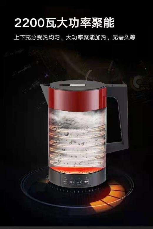 8F LIKUAI利快  德国进口智能控温烧水壶 商品图1