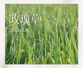 那些闻起来很香的植物