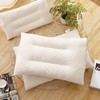 传枫 乳胶枕 乳胶颗粒枕头床上用品（单只装）60*40cm CF-6040 商品缩略图0