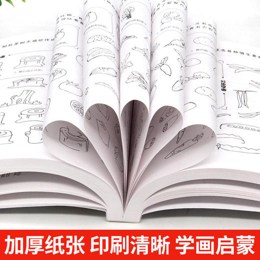 简笔画10000例加厚版 商品图3