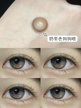 Claire color 栗宝 14.5mm 美瞳