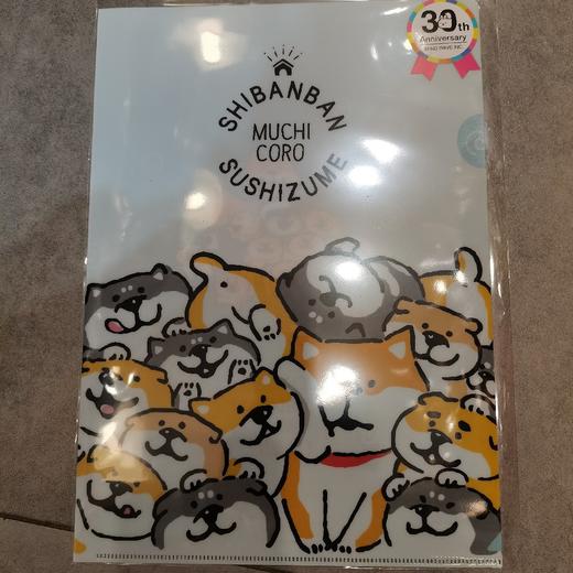 MW文件夹57071 商品图0