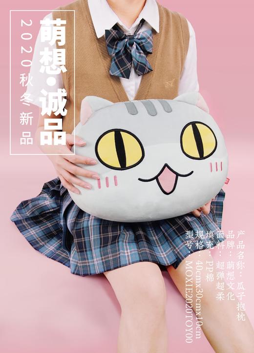 【抱枕全家福】如果历史是一群喵肥志官方周边毛绒靠垫头枕背枕 商品图2