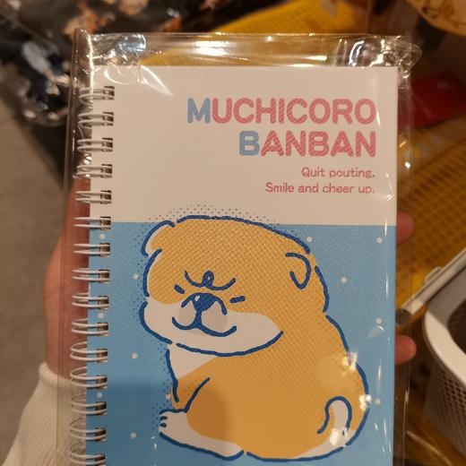MW线圈本57446 商品图0