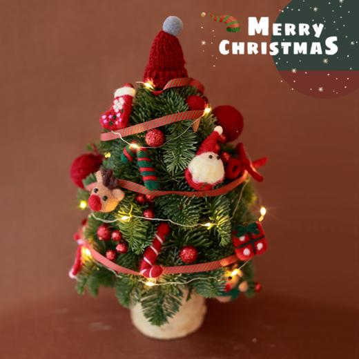 仅限10棵！手工圣诞树（真树叶）｜免费送圣诞盲盒 商品图0