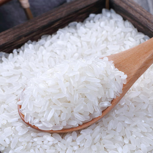 中绿五常大米5kg 商品图3