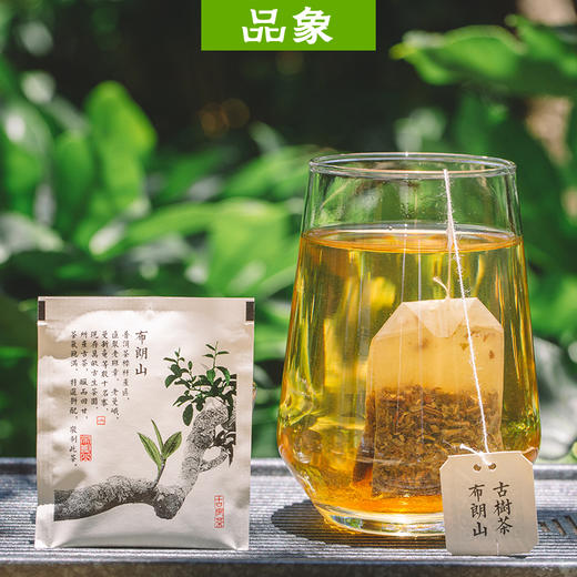 品象袋泡茶布朗山古树普洱生茶滋味浓烈霸道厚重绵长生津快回甘强 商品图2