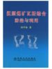 抚顺煤矿瓦斯综合防治与利用/孙学会 商品缩略图0