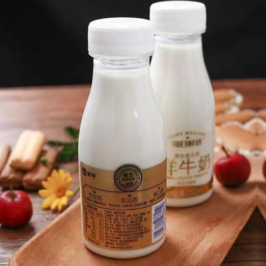 每日鲜语鲜牛奶250g 商品图2