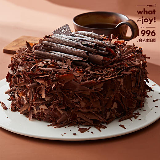 经典黑森林 商品图0