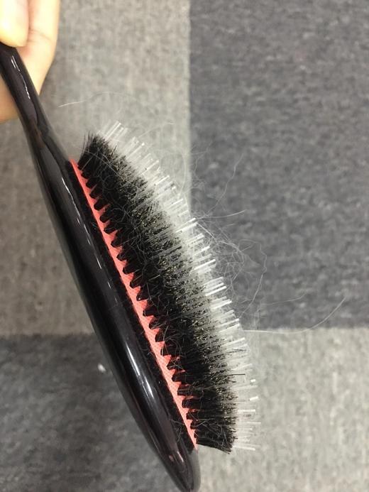 猪鬃毛尼龙刷 英国同款  赛级黑柄梳 尼龙圆头红柄梳 mini猪鬃猫咪梳 商品图1