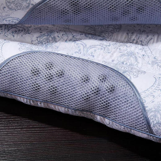 传枫（两只装）枕头磁疗枕头枕决明子保健枕安睡枕CF-3011 商品图2