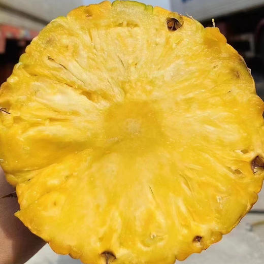 DelMonte蜂蜜凤梨 擁有金黃色的表面，內裡果肉香甜 商品图7