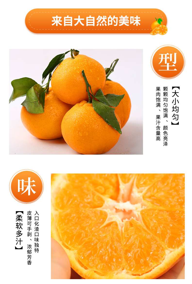 春见耙耙柑的上市时间(春见耙耙柑的口感)