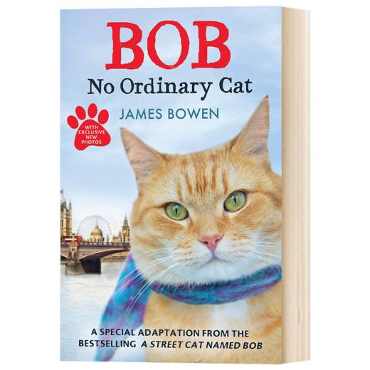 鲍勃 不是普通的猫 英文原版 Bob No Ordinary Cat 英文版 James Bowen 进口英语书籍 商品图1