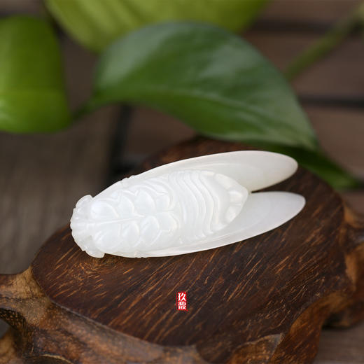 和田玉（羊脂玉）籽料挂件--蝉33.02g 商品图4