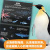 【6-12岁】蓝色星球 莱斯利斯图尔特夏普等著 专业海洋科普 带孩子一起见证人类震撼人心的海洋探访纪录 感受海洋之美 中信 商品缩略图2