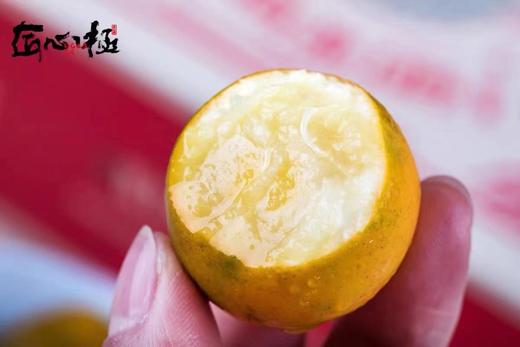 广西融安脆蜜金柑（特级） 商品图0
