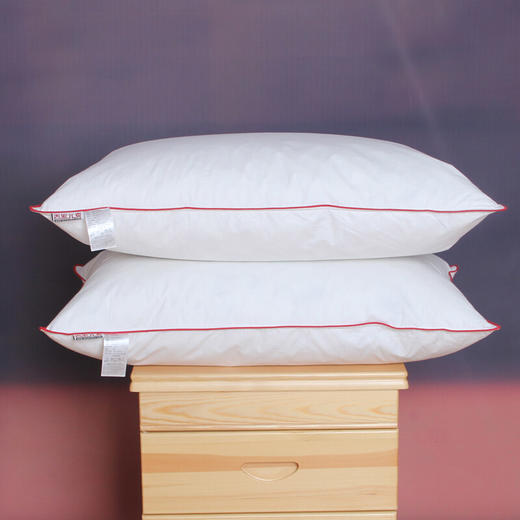 传枫 丝绒棉舒适高弹枕头（两只装） CF-3012 商品图1