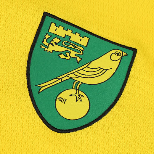 JOMA/霍马21-22赛季诺维奇主场球迷版短袖球衣成人男 商品图2