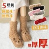 地板袜子珊瑚绒暖脚加绒神器睡眠袜小熊羊羔绒秋冬加厚保暖袜男女 商品缩略图1